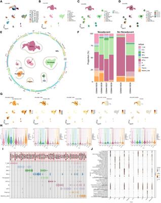 Single-cell RNA sequencing reveals that MYBL2 in malignant epithelial cells is involved in the development and progression of ovarian cancer